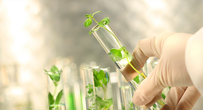 환경생명공학과