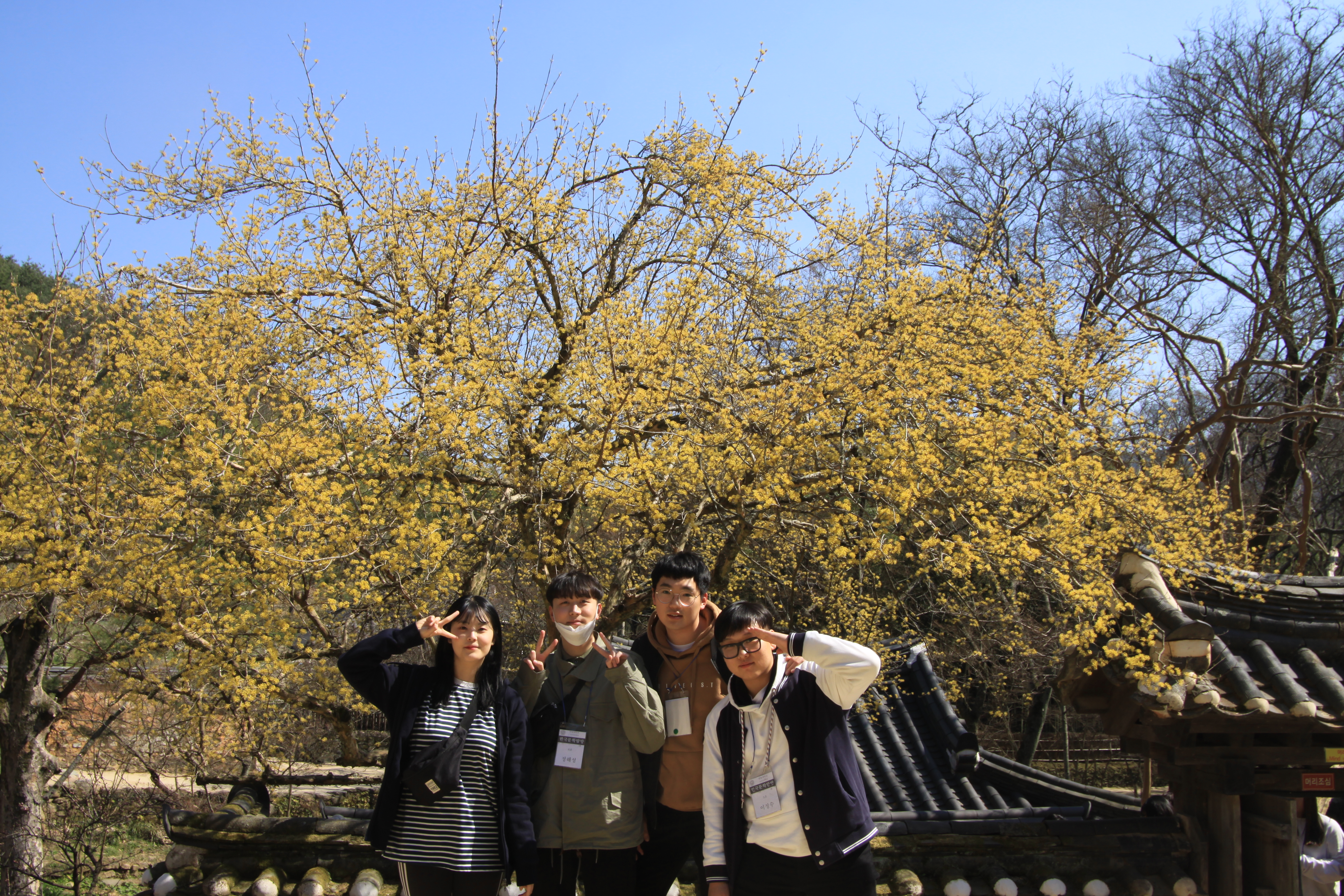 19-2.......jpg 이미지