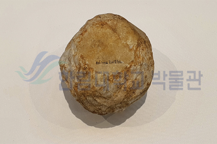 전시실_유물_여러면석기_포토샵버전.jpg 이미지